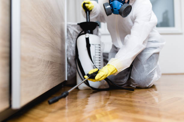 Best Commercial Pest Control Services  in Clearwater, KS