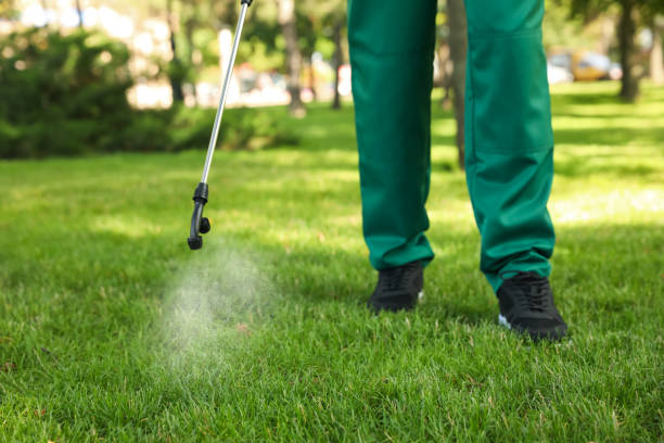 Best Insect Control  in Clearwater, KS