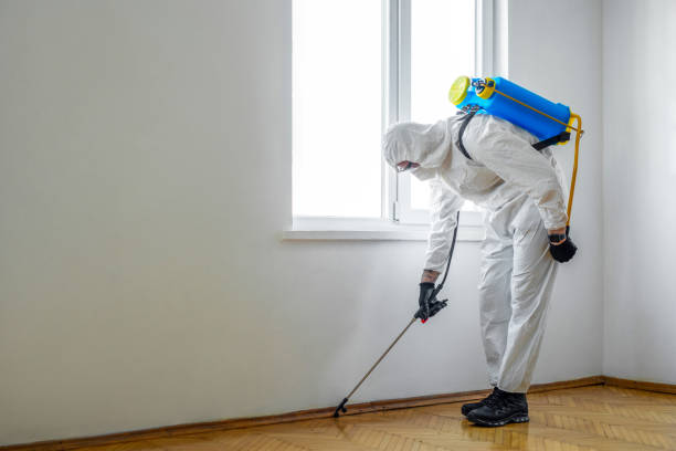 Best Affordable Pest Control Services  in Clearwater, KS