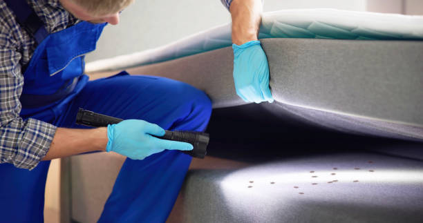 Best Wasp Removal Services  in Clearwater, KS
