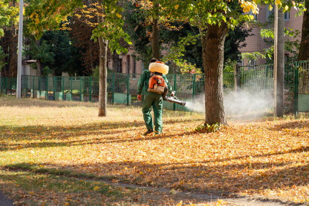 Best Mosquito Control Services  in Clearwater, KS